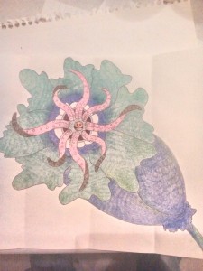 tentacle monster in a flower drawing