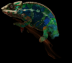 Painted Chameleon by Robert Chapman