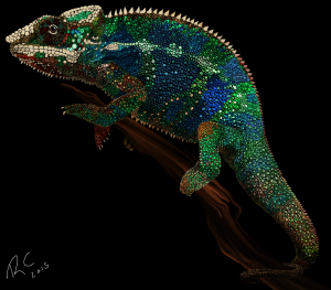 Painted Chameleon by Robert Chapman